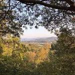 Les Mimosas Amazing View * Bormes-les-Mimosas