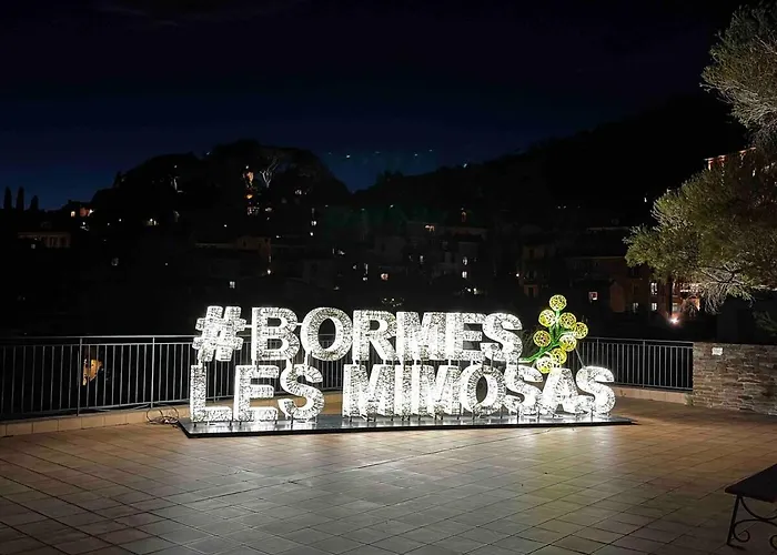 Διαμέρισμα Les Mimosas Amazing View Bormes-les-Mimosas