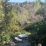 公寓 Les Mimosas Amazing View 博尔马斯·莱斯·米默萨斯