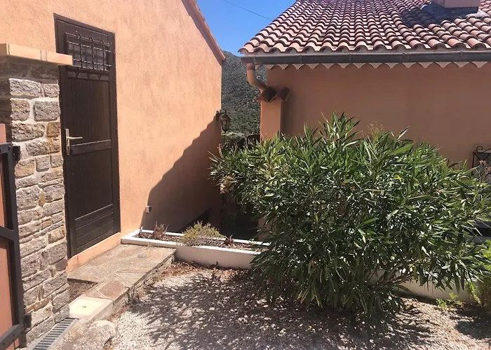 Les Mimosas Amazing View *