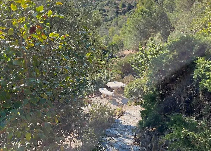 Les Mimosas Amazing View בורם-לה-מימוזה