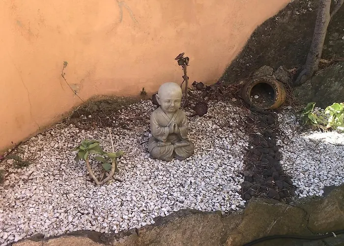 Les Mimosas Amazing View