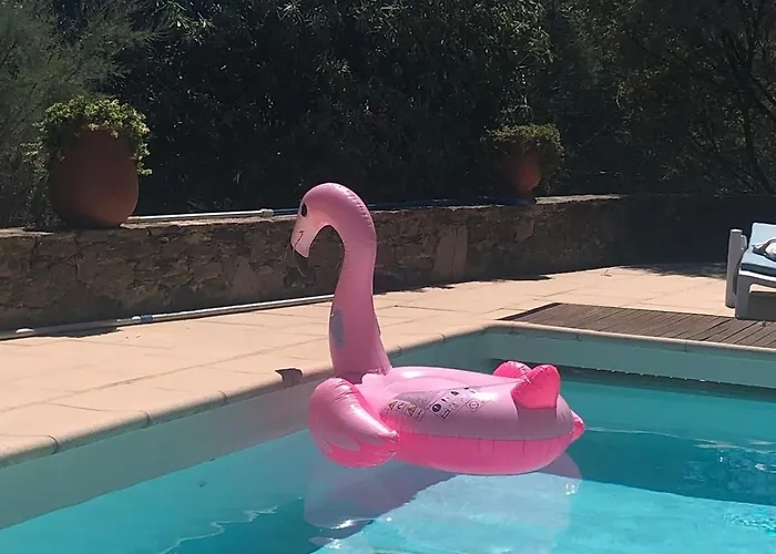 Les Mimosas Amazing View בורם-לה-מימוזה