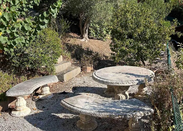 Les Mimosas Amazing View