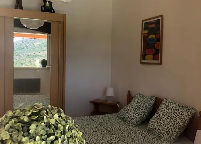 Les Mimosas Amazing View